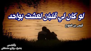 لو كان لي قلبان لعشت بواحد قيس ابن الملوح روائع الشعر الفصيح بصوت وهاج مصطفى 
