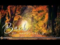 Download Lagu Bach - Relaxing Cello Music