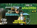 Anaconda: Cursed Jungle (4/9) | Sesuatu Yang Besar | Cuplikan Film Monster | ClipFlix