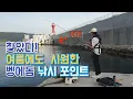 Download Lagu 여름에도 시원한 벵에돔 도보포인트