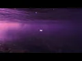 mavi - comethroughwithit