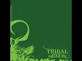 Dawn of Time - Tribal Seeds