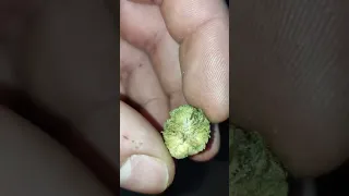 PGR Vs Non PGR how to spot the difference