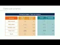 variance report
