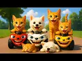 Download Lagu Mama Cat Trims Fur on the Farm and Makes Tiger Hat For Kittens At Home🐾🎩🐯