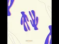 Sea You - Panta Ray