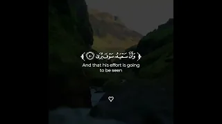 وان ليس للإنسان الى ما سعى تلاوة قرءان كريم احمد خضر 