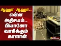 Download Lagu ஆஹா ஆஹா.. என்ன அதிசயம்.. பியானோ வாசிக்கும் காளான் | Mushroom | Piano
