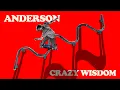 Crazy Wisdom - authenticandyanderson