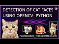 Cat Face Detection using OpenCV Python LIVE Detection Facial Recognition in Images Clips
