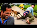 funniest fails of all time Best Funny s Ever Try Not To Laugh Challenge