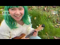 Slow and Easy - Dai Hirai (ukulele cover)
