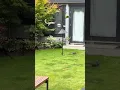 A Great Squirrel-Proof Bird Feeding Station
