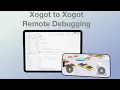 Xogot to Xogot - Remote Debugging