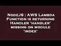 NodeJS AWS Lambda Function is returning Handler handler missing on module index