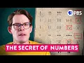 The Real Weird Way We See Numbers