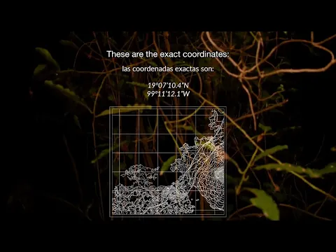La tierra los altares | Earth Altars / Trailer