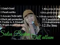 Download Lagu Full Album 3 Pemuda Berbahaya Feat Salsa Bintan|Gatal-Gatal||Pecah seribu||aca-aca nehi-nehi