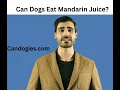 Can Dogs Eat Mandarin Juice