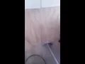Carpet cleaning Gainesville Florida
