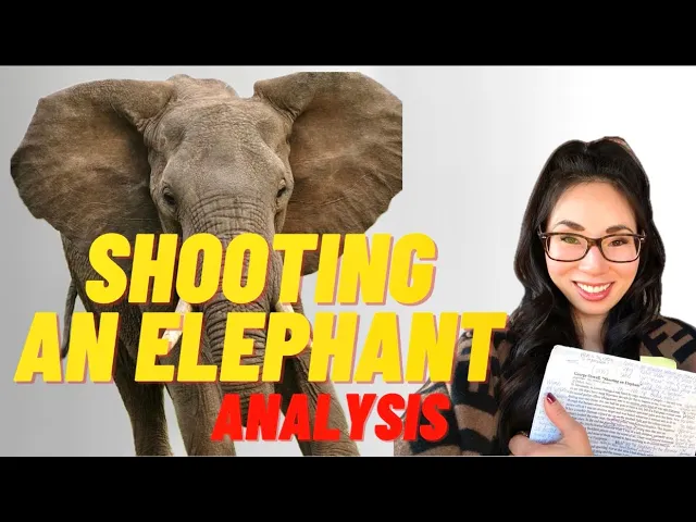 English Prof Explains What the Elephant Symbolizes in Orwell's "Shooting An Elephant" 🐘 Analysis