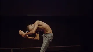 the best contortionist in the world
