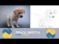 Image To Pencil Sketch In 12 Lines Of Code Using Python