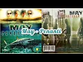 Download Lagu May - Penanti