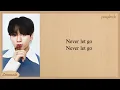 Download Lagu Jungkook Never Let Go Lyrics