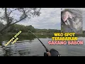Download Lagu WKO SPOT TERABAIKAN TERNYATA SARANG BABON, MANCING SEBENTAR SUDAH PANEN #fishing #mancing #fish