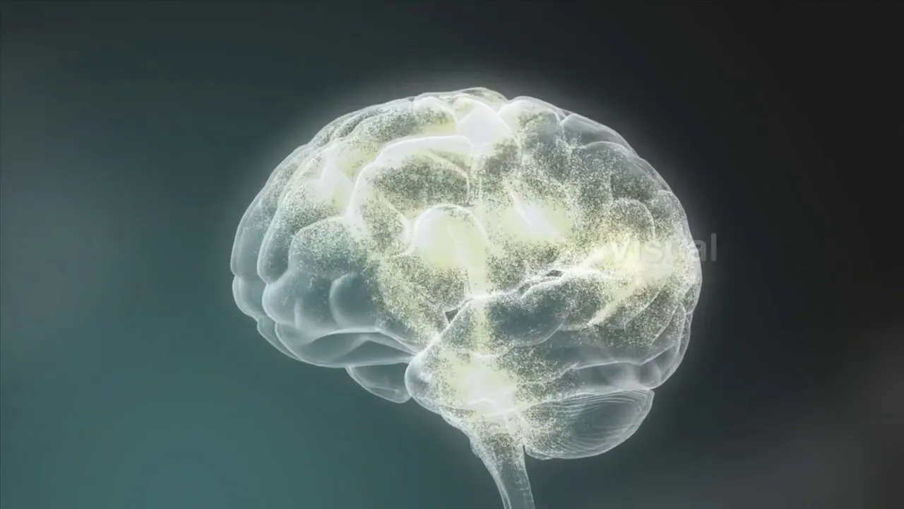 Introduction to cognitive modeling