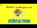 Digital Underground - The Humpty Dance Awards