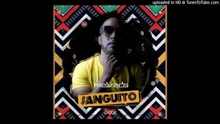 dj malvado feat robertinho u0026 vado poster sanguito afro mix