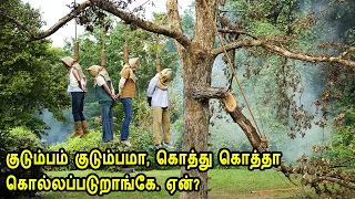  hollywood movie story u0026 review in tamil