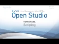 BLUE Open Studio Tutorial Scripting