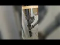 Plumber Repairs Drain Cleaning - Apple Valley Eagan Lakeville Burnsville