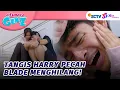 Download Lagu Tangis Pecah Saat Lihat Blade, Harry Menangis di Pelukan Aqeela | Asmara Gen Z Episode 233 dan 234