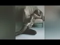 notting hill - suki waterhouse ( slowed perfectly )