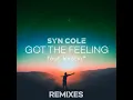Got the Feeling (Alex Ross Remix)