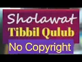 Lagu Sholawat Tibbil Qulub No Copyright | instrument music for backsound