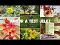 Download Lagu Amikor a test jelez | szeptemberi VLOG
