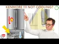 Uncover the Two Reasons Why Your Kenmore Refrigerator 111 is NOT Cooling
