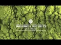 Hannah Wants & Chris Lorenzo - Girls (Official Audio)