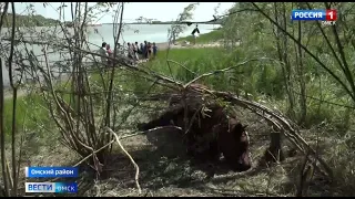 Из-за жары чрезвычайная ситуация произошла на берегу Иртыша в Красной горке