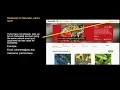 Citizen Science Project Tutorial Documenting ASU s flowering plants and pollinators