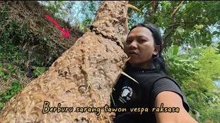 5 HARI SURVIVAL BERBURU SARANG TAWON PESVA RAKSASA