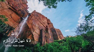 42 تـلاوة رائعة سورة الشورى كاملة يتلوها القارئ اسلام صبحي 