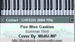 Download [SYNTH COVER] Pee Wee Gaskins - Summer Thrill MP3