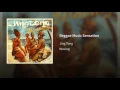 Reggae Music Sensation
