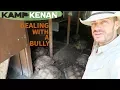 How To Deal with Aggressive Sulcata Tortoises